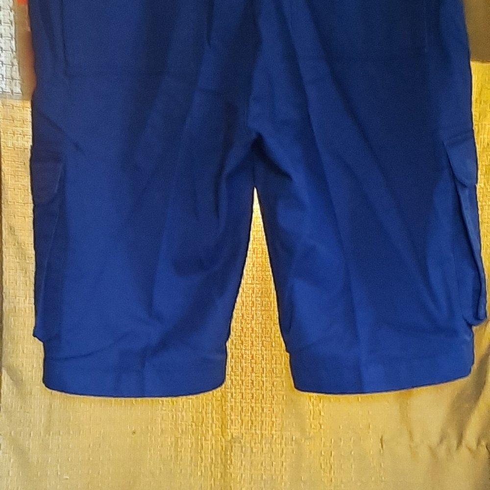 Shorts - Picture 4 of 4